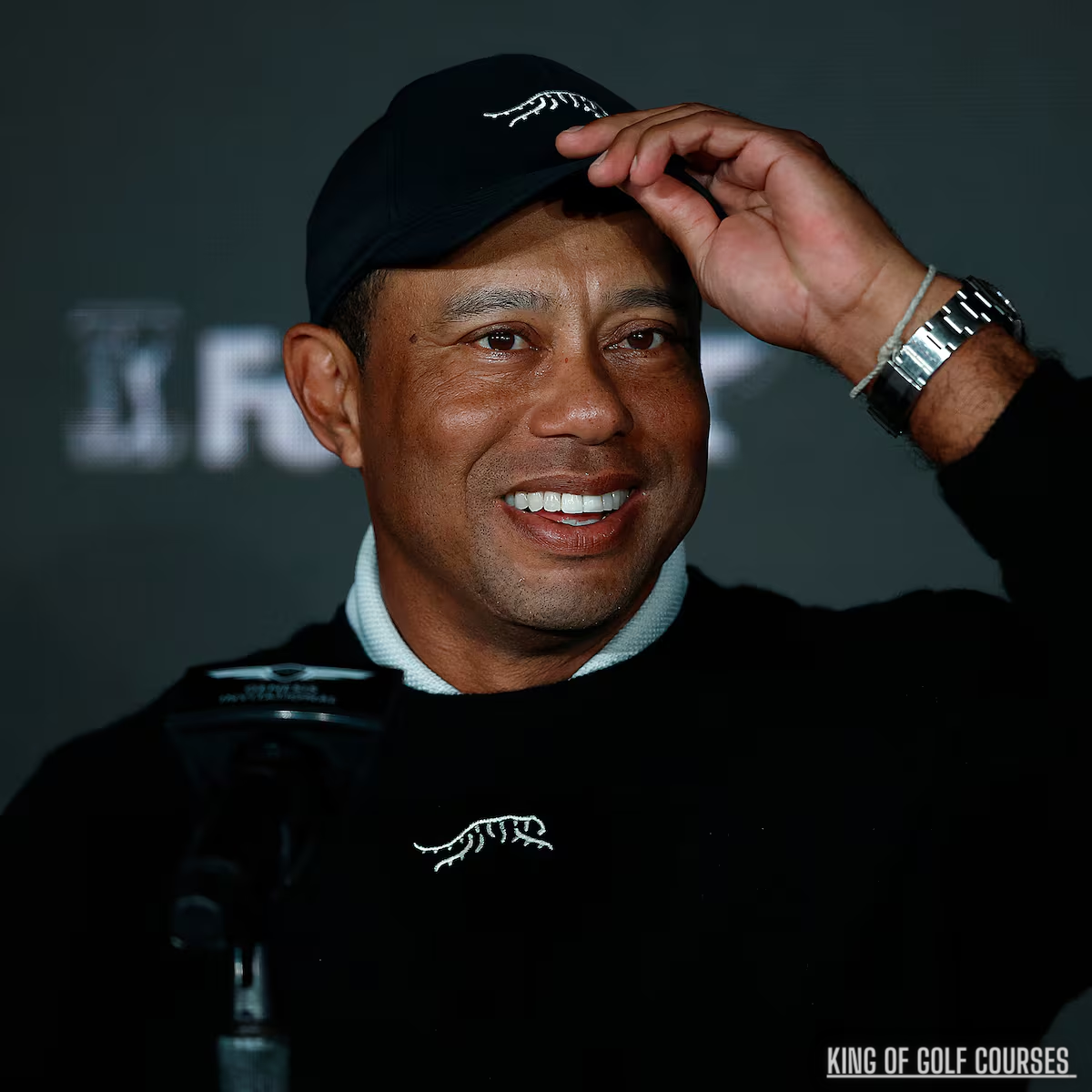 Golf fans went crazy over the news of Tiger Woods taking the field at ...