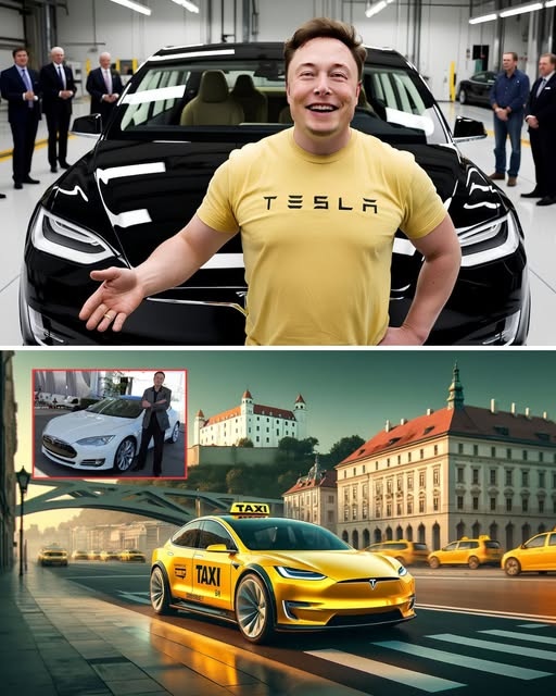 Secret taxi girl christmas